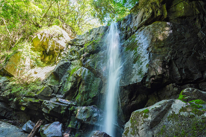 自然と共に暮らす