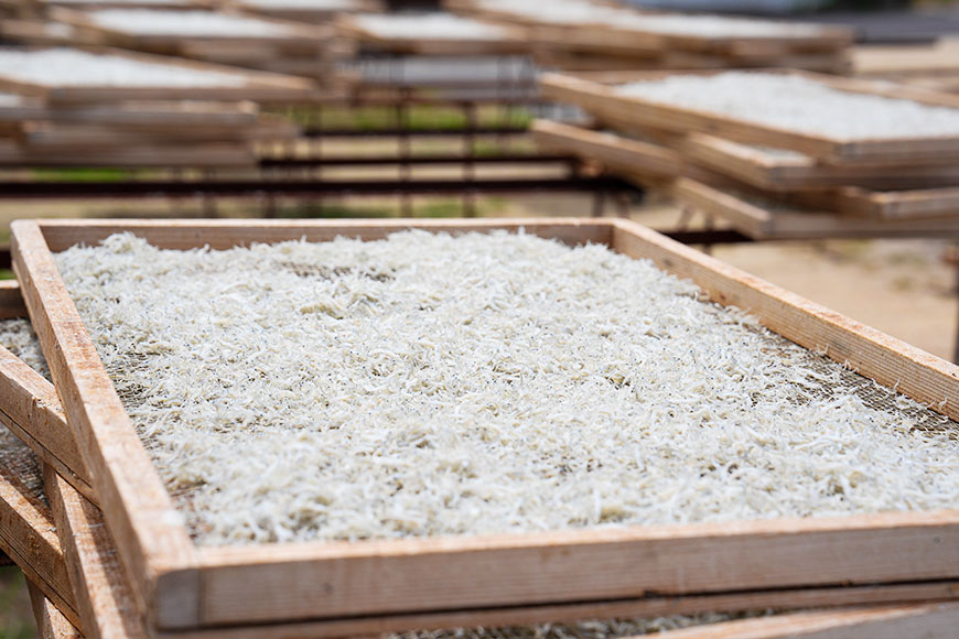 食の宝庫と古くて新しい店の宝庫